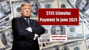 $725 Stimulus Payment in June 2025