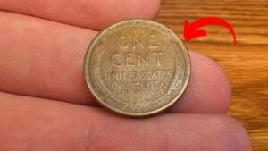 Could That Old Coin in Your Pocket Be Worth Millions