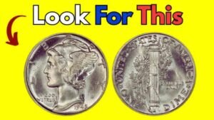 Could Your Old Coin Be Worth Millions