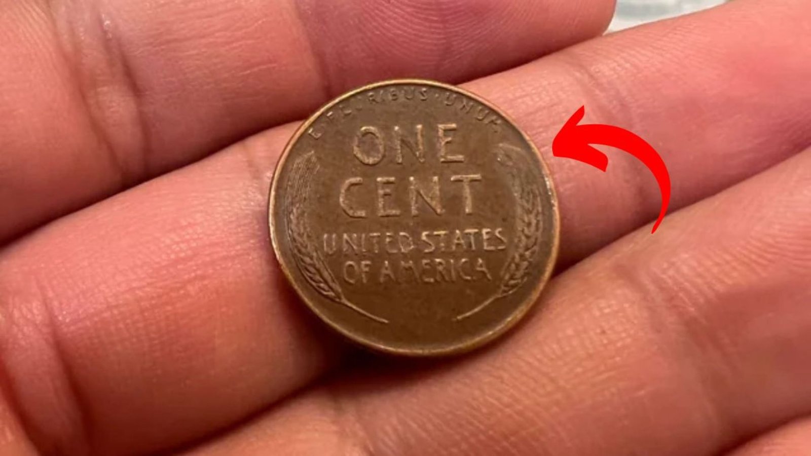 The $13 Million Lincoln Wheat Penny